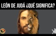 Significado bíblico del león de Judá: Descubre su simbolismo