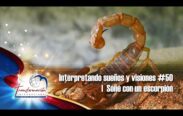 Significado de serpientes y escorpiones en la Biblia: Revelaciones sorprendentes